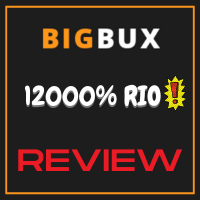 bigbux.biz review