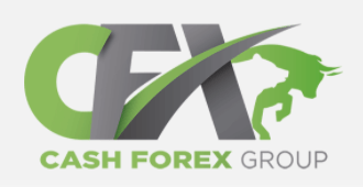 CashFX Group Securities Fraud