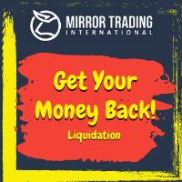 Mirror Trading Liquidation
