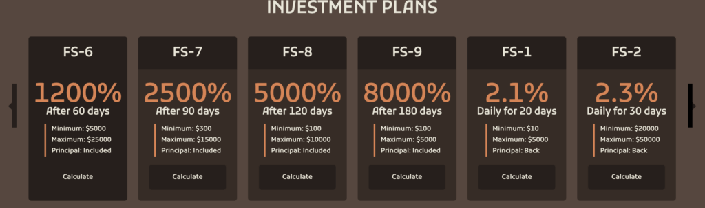 Finstorage investment plan